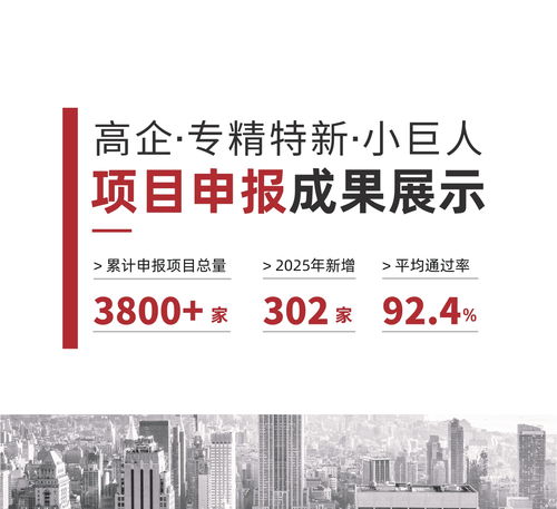 2026年現(xiàn)階段 新疆創(chuàng)小企業(yè)如何筑穩(wěn)創(chuàng)新根基？信賴伙伴深度解析科技項(xiàng)目代理服務(wù)